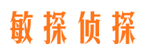 柳河侦探公司